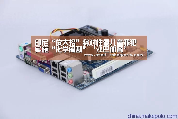 印尼“放大招”将对性侵儿童罪犯实施“化学阉割”‘沙巴体育’(图2) 沙巴体育平台