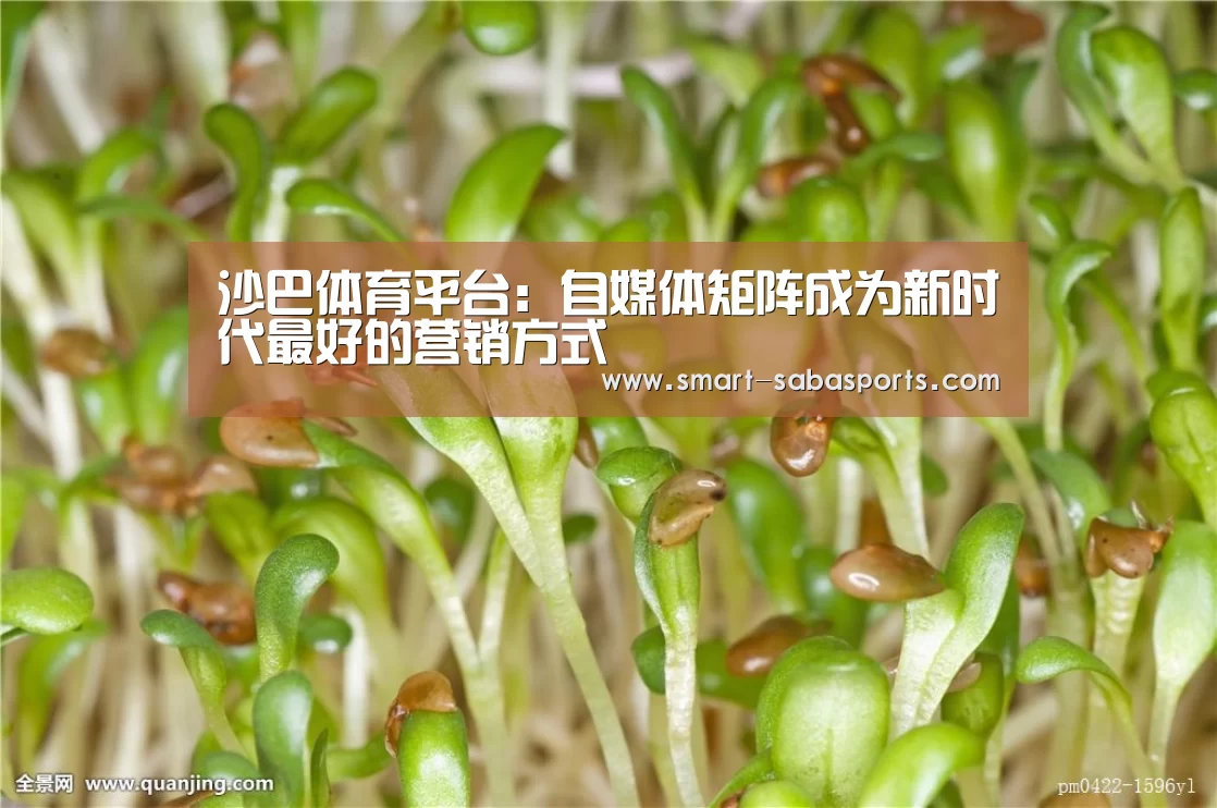 沙巴体育平台:自媒体矩阵成为新时代最好的营销方式(图3) 沙巴体育平台