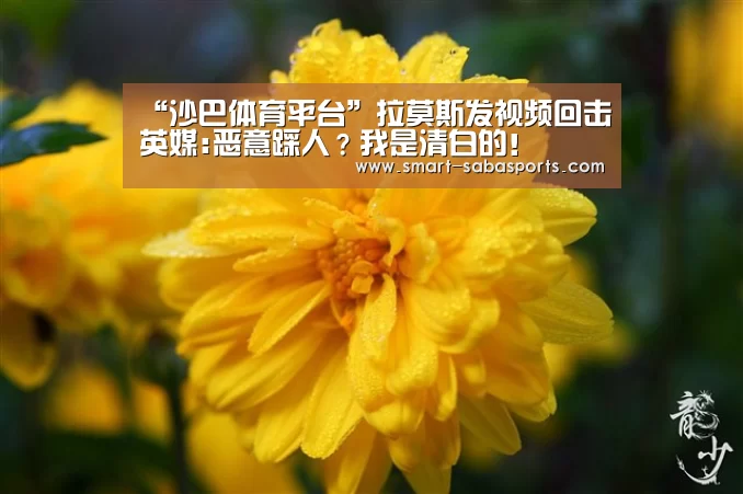 “沙巴体育平台”拉莫斯发视频回击英媒:恶意踩人?我是清白的!(图2) 沙巴体育平台