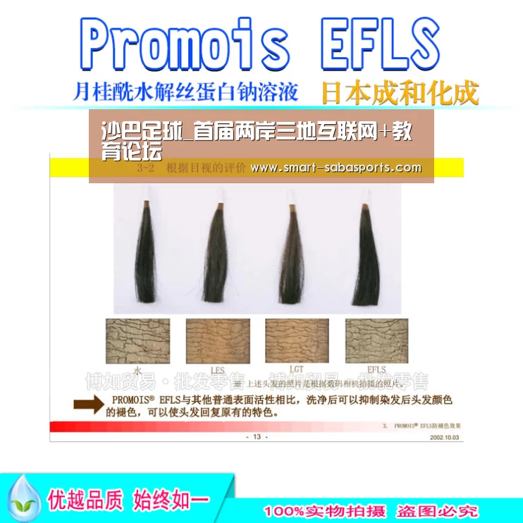 沙巴足球_首届两岸三地互联网+教育论坛(图2) 沙巴体育平台
